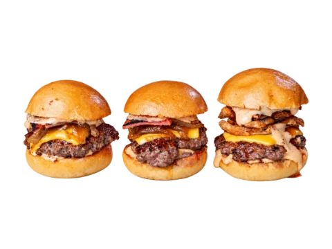 Mini Burger Central